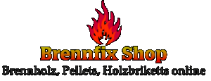 Dieses Bild zeigt das Logo des Unternehmens Brennfix