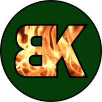 Dieses Bild zeigt das Logo des Unternehmens Brennholzking